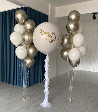 Gender Party (Boy or Girl?) BG-1