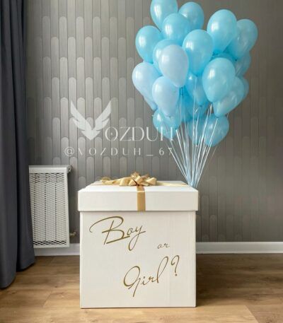 Gender Party (Boy or Girl?) BG-10