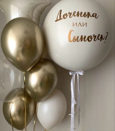 Gender Party (Boy or Girl?) BG-12