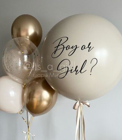 Gender Party (Boy or Girl?) BG-16