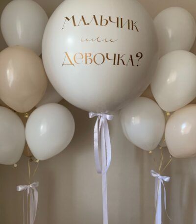 Gender Party (Boy or Girl?) BG-8